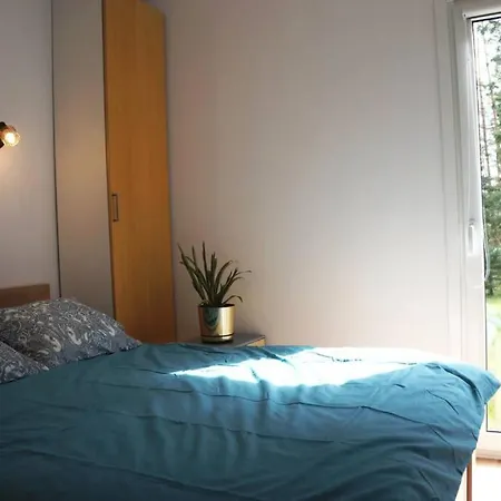 - Zakatek Marzenie * Orzyny